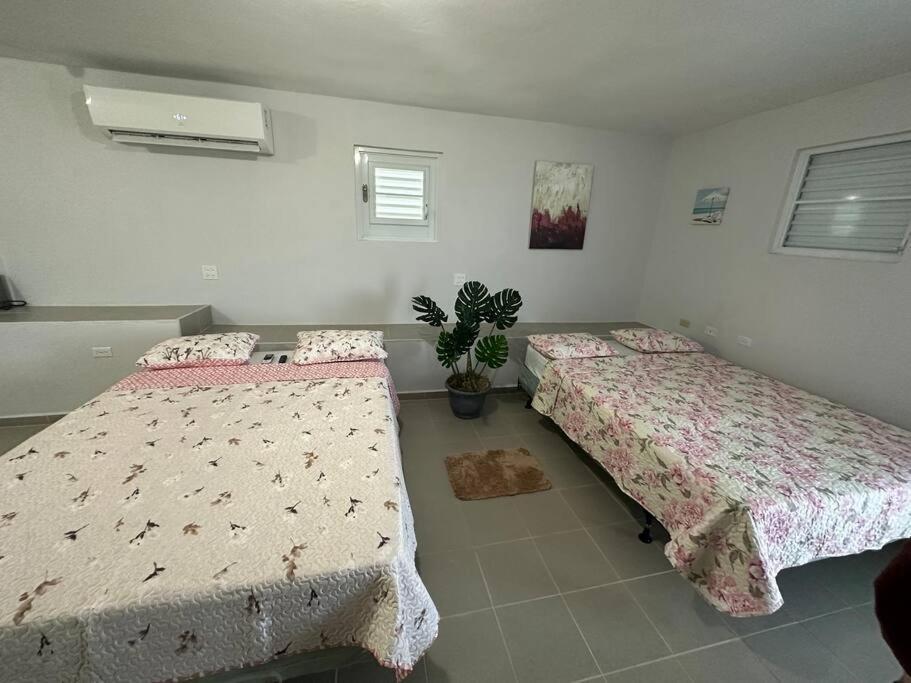 Apartmán Oceanview 2 Guayama Exteriér fotografie